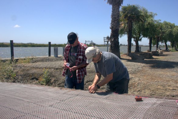 f36 6-12-2016 11-56-01 PM 2592x1728