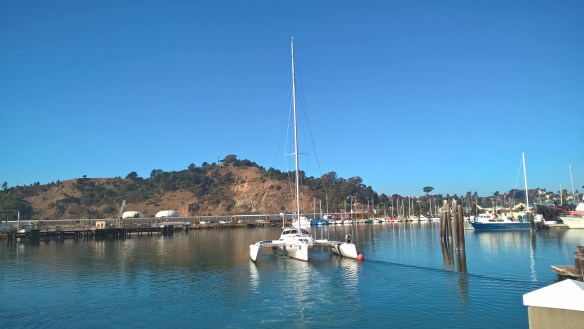 WP_20181024_10_42_02_Pro